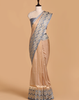 Phawn Plain Saree in Silk