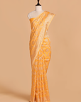 Golden Jaal Saree in Muslin Silk