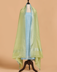 Pista Green without Zari Dress in Silk
