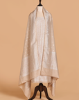 Beige Jaal Dress in Georgette Tussar
