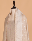 Beige Jaal Dress in Georgette Tussar