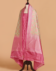 Pista Patola Silk Dress