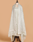 Grey Jaal Dress in Silk