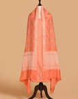 Peach Jaal Dress in Georgette Tussar