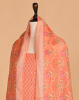 Peach Jaal Dress in Georgette Tussar
