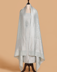 Sky Blue Jaal Dress in Georgette Tussar