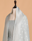 Sky Blue Jaal Dress in Georgette Tussar