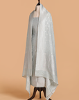 Sky Blue Jaal Dress in Georgette Tussar