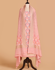Pink Jaal Dress in Georgette Tussar
