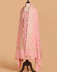 Pink Jaal Dress in Georgette Tussar