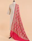 Coral Pink Jaal Bandhani Dupatta in Georgette