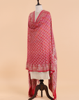Rani Pink Jaal Bandhani Dupatta in Georgette