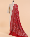 Red Gharchola Bandhani Dupatta in Georgette