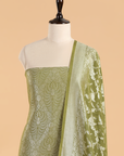 Olive Green Jaal Dress in Georgette Tussar
