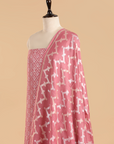 Gajar Pink Jaal Dress in Georgette Tussar
