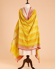 Lime Green Rangkat Dupatta in Silk