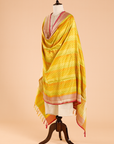 Lime Green Rangkat Dupatta in Silk