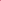 Rani Pink Plain Bandhani Dupatta in Silk