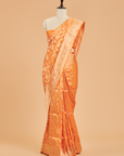Orange Jaal Saree in Silk