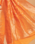 Orange Jaal Saree in Silk
