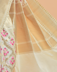 Off White Jaal Saree in Silk