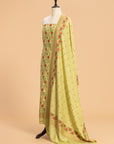 Pista Green Jamdani Georgette Tussar Dress