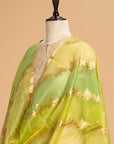 Lime Green Kadwa Kora Silk Dupatta
