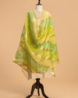 Lime Green Kadwa Kora Silk Dupatta