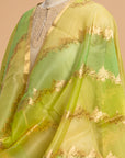 Lime Green Kadwa Kora Silk Dupatta