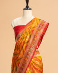 Short Golden Patola Silk Saree