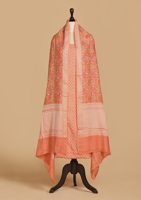 Peach Jaal Dress in Georgette Tussar