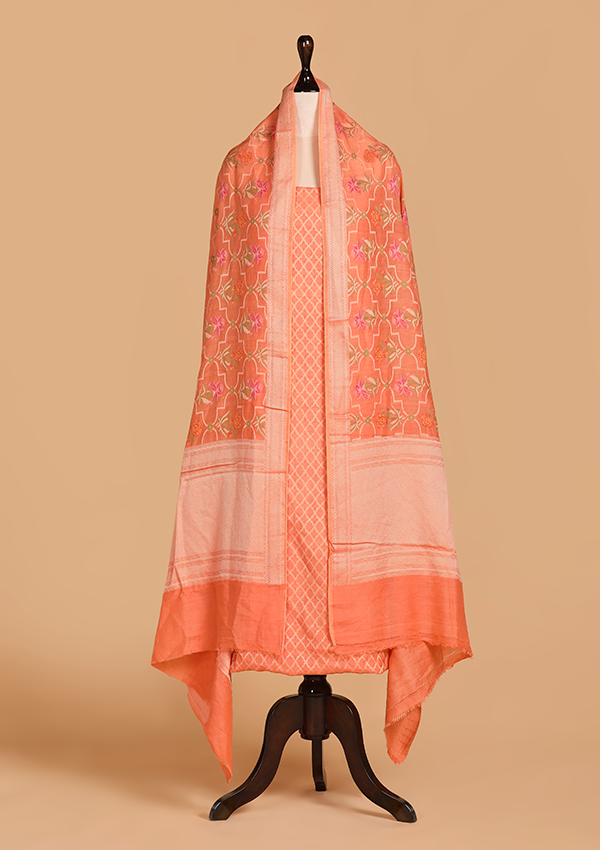 Peach Jaal Dress in Georgette Tussar