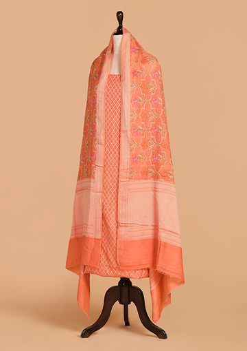 Peach Jaal Dress in Georgette Tussar