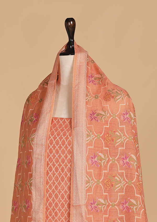 Peach Jaal Dress in Georgette Tussar
