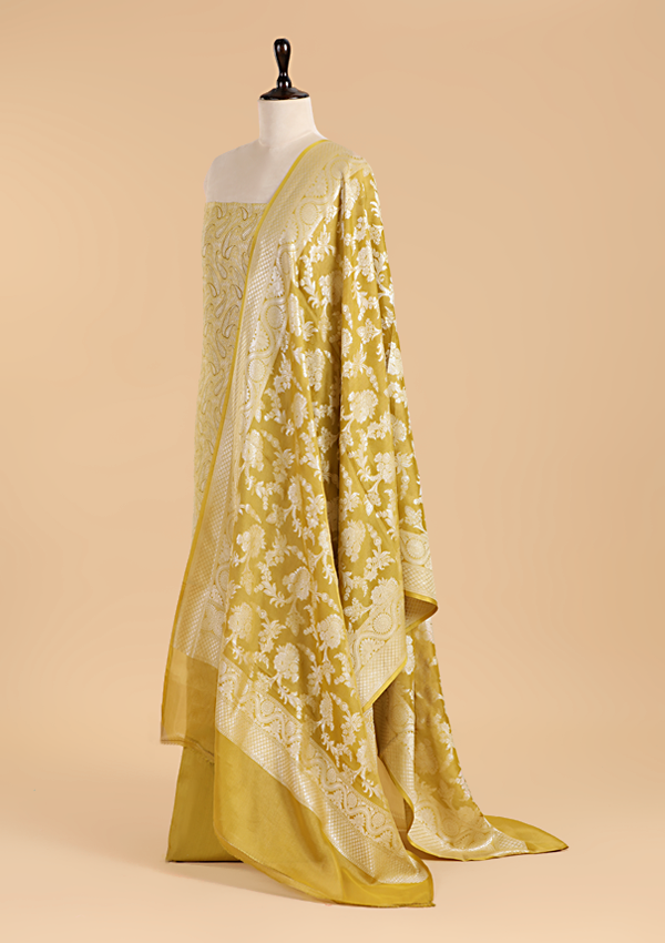 Olive Green Jaal Dress in Georgette Tussar