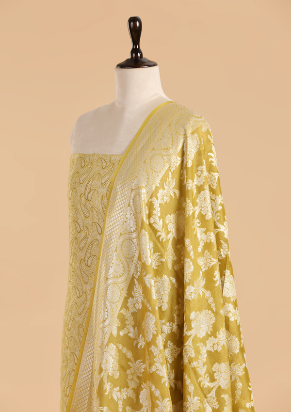 Olive Green Jaal Dress in Georgette Tussar