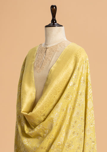 Pistachio Green Jamdani Georgette Tussar Dupatta